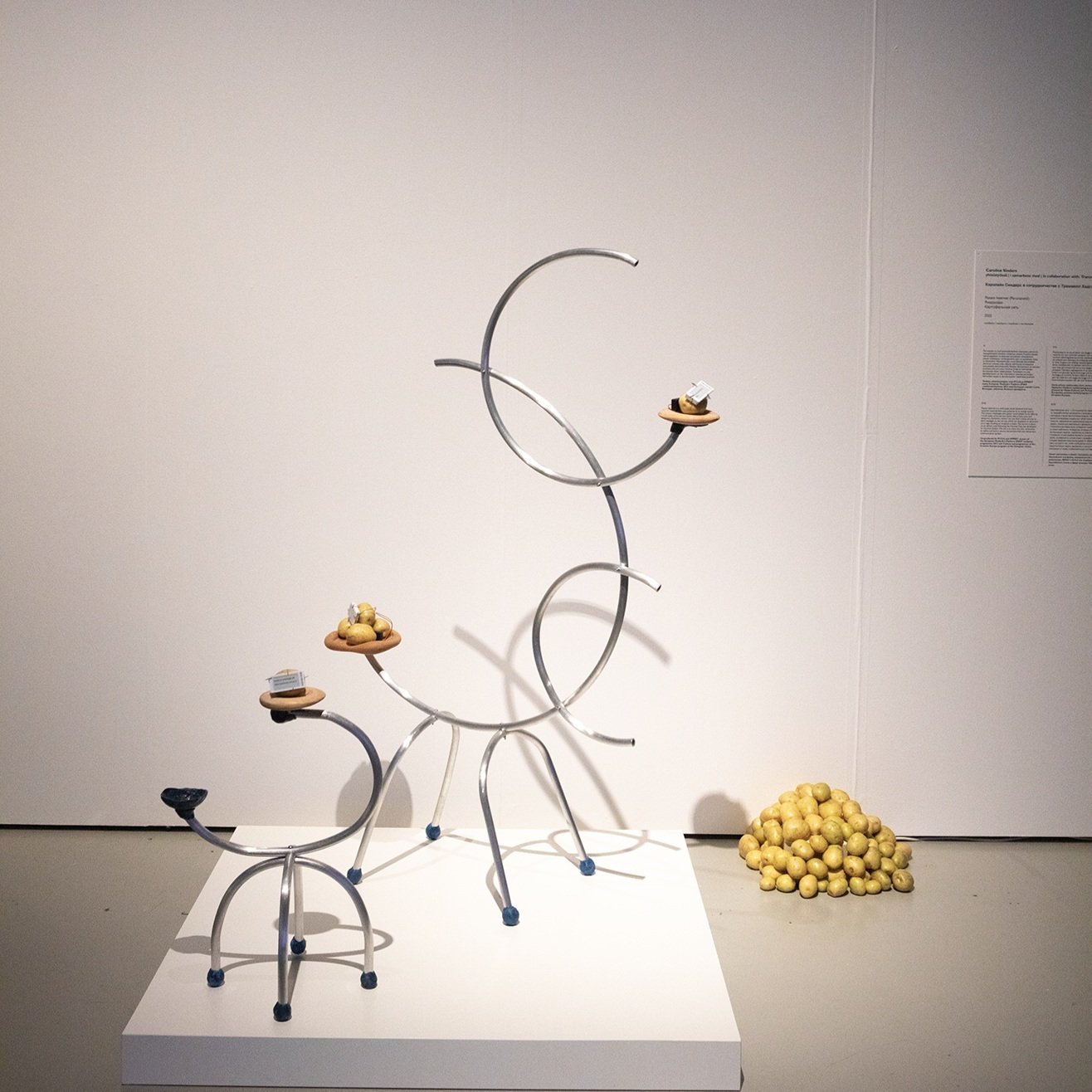 On Arts, AI and Human Rights: Interview with Caroline Sinders